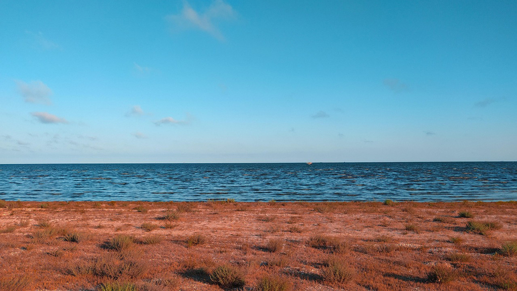 beach-7209872_1280